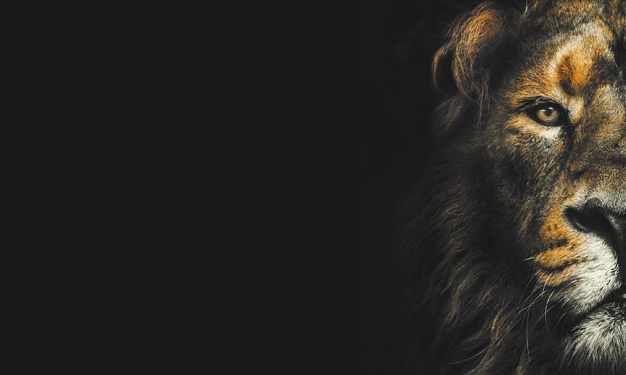 Тестовая статья 2